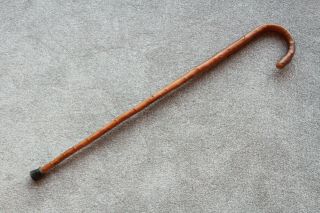 Vintage Strong Blackthorn Walking Stick