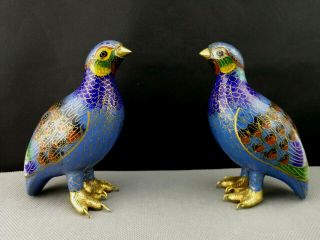 Impressive 20th Antique Old Chinese Cloisonne Birds