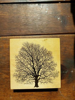 Psx Black Walnut Tree K - 1457 Wood Rubber Stamp Rare Htf Retired