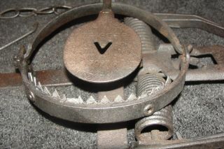 Rare Victor Two Trigger Vintage Antique Trap W/ Teeth Newhouse A1