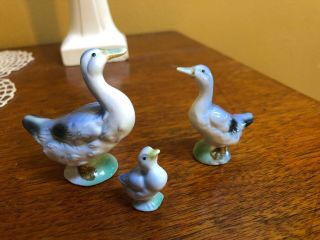 Vintage Miniature Duck Goose Family 3 Figurines Bone China Rare Blue Color