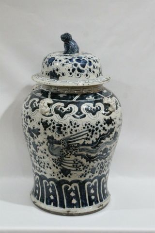 Rare Huge Old Chinese Blue White Porcelain Rooster Foo Dog Lidded Ginger Jar 1