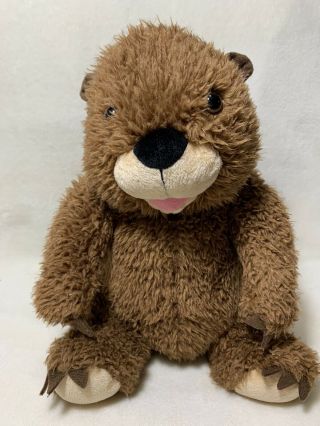 Build A Bear Groundhog 2018 Plush Rare Exclusive
