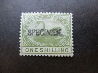 Western Australia Stamps: 1/ - Green Specimen Rare (c272)