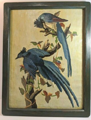Vintage Framed Exotic Blue Birds Paint - By - Number Pbn Art 13.  5 X 17.  5 "