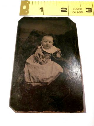 Vintage Antique 1800s Tin Type Photo Picture Baby In White Dress Ships
