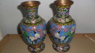 Antique Chinese Cloisonne Vase With Cranes,  19th C Early 20th Century