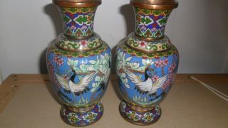 Antique Chinese Cloisonne Vase with Cranes,  19th c early 20th century 2