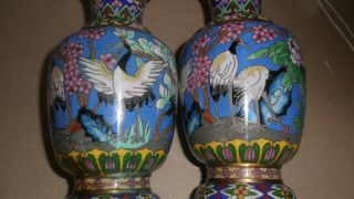 Antique Chinese Cloisonne Vase with Cranes,  19th c early 20th century 3