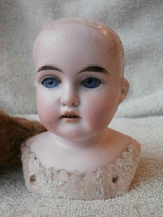 Pretty Antique German Cuno Otto Dressel 1776 Bisque Doll Shoulderplate Head 4 "