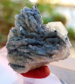 76 Ct Pleasing Extremely Rare Vorobyevite Crystal Specimen From Badakshan Afghan