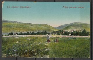 Judaica Palestine Rare Old Postcard The Colony Rosh Pinah