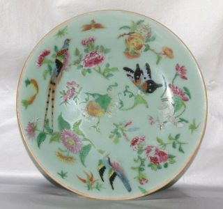 Antique Chinese Canton Porcelain Plate Painted Birds,  Foliage Seal Mark Circa1900