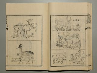 Old Japanese Woodblock Printed Book Meiji Era Science By Benjamin Hobson Animals