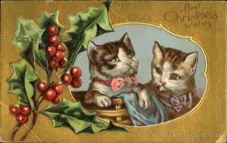 Christmas Cats Best Christmas Wishes Antique Postcard Vintage Post Card