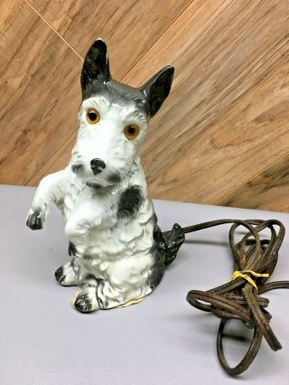 Antique German Porcelain Scottish Terrier Perfume Dog Lamp Light Scottie 8 " Tall