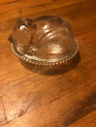 Butter Dish - Glass - Sleeping Kitten - Cat Collectibles - Vintage - Antique