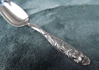 Flora (pansy) By Shiebler 5 1/2 " Sterling Coffee Spoon Circa 1887