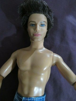 RARE Loose Fashionistas Ryan Ken Doll Articulated Joints W/Hair NR Barbie 2