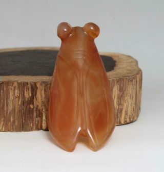 Antique Chinese Carved Natural Agate Pendant With Cicada