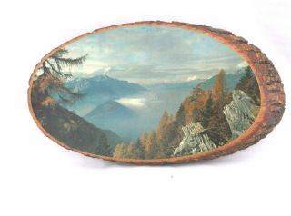 Rare " Above The Clouds  Echo Lake Lodge " 16 X 8 3/4 " Oval Wood Wall Plaque