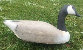 Rare - 1960’s “decoys Unlimited” Jack Sweet Erie Pa - Canada Goose - Decoy