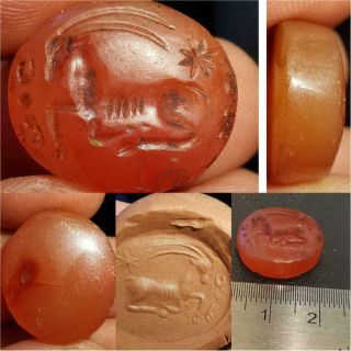 Agate Stone Very Old Rare Unique Intaglio Animal Seal Intaglio Stone 51
