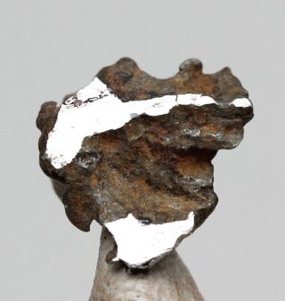 Very Rare Imilac Partial Slice Iron Meteorite Pallasite Specimen Fragment Chile