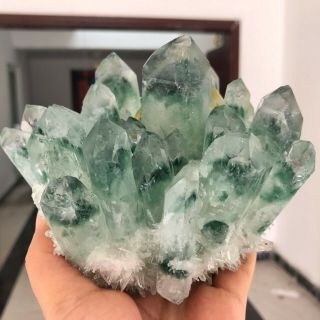 2.  55LB Rare Green Phantom Quartz Crystal Cluster Healing Specimens YTC338 2