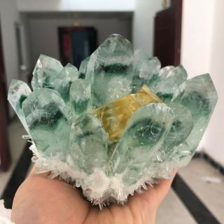2.  55LB Rare Green Phantom Quartz Crystal Cluster Healing Specimens YTC338 3