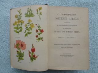 Old Rare Vintage Book Culpeper ' s British Complete Herbal Medicine 1850 ' s Herbs 3