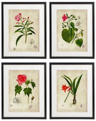 Vintage Botanical Floral No.  01 Art Home Wall Art Print Set Of 4 Prints Unframed