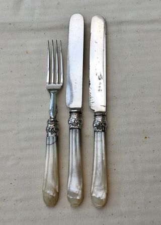 Antique 3pce Fork & Knives - Mother Of Pearl Handles Grape Ferrules Silver Plate
