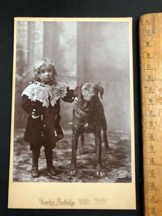 H Antique Victorian 1880s Dankes Partridge Child Terrier B&w Photo Cabinet Card