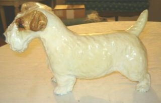Vintage Royal Doulton Large Sealyham Terrier Dog 9 " Hn1030 Very Rare