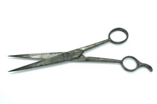 Antique " Dream " Arco Cutlery Co Solingen Germany 7 - 5/8 " Barber Scissors Snips