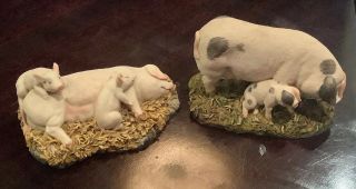 2 Royal Doulton Pig Hog Figurine Moms With Piglets Piggy Vintage Rare