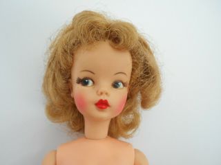 Vintage 1962 Ideal Toy Company 12 " Tammy Doll Bs - 12 Cc - 1/246