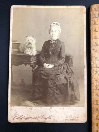 1 Antique Victorian 1800s Billinghurst Jersey Terrier Dog B&w Photo Cabinet Card