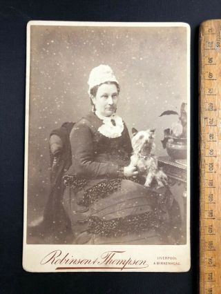 1 Antique Victorian 1800s Robinson Thompson Terrier Dog B&w Photo Cabinet Card