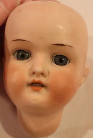Antique 3 1/2 " German Bisque Heubach Koppelsdorf 250 Doll Head,  Perfect 8 " Circ