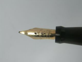 Rare vintage hard rubber THE OXANIAN PEN fountain pen FLEXIBLE 14ct M nib 2