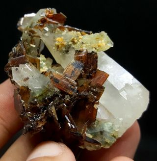 34 Grams Top Quality Bunch Of Rare Brookite On Quartz Crystal Specimen From Pak