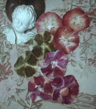 8 Antique Edwardian French Millinery Flowers Morning Glories Pink Green Rose