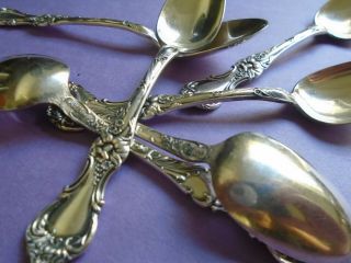 Antique 1835 R.  Wallace A1 Demitasse Silver Plated Spoons.  Daffodils.  Set Of 6.