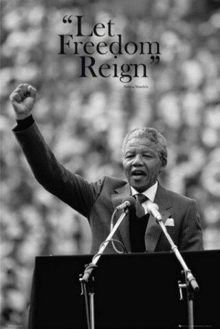 Nelson Mandela Poster Let Freedom Reign Rare Hot