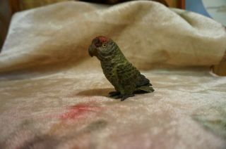 Antique Austrian Cold Painted Bronze Parrot With Crossed Wings (1 Of 2)