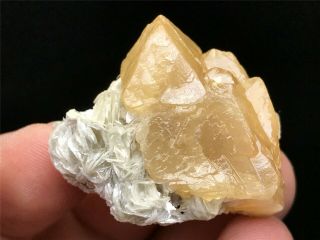 34g Rare Natural Scheelite Mica Crystal Rough Mineral Samples Sichuan China