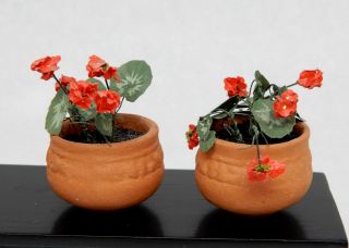 Vintage Red Flowers In Terracotta Pots - Artisan Dollhouse Miniature 1:12