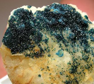 Rare Crystal Clinoclase On Quartz: Clara Mine,  Black Forest,  Germany - Nr